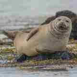 xr:d:DAGBaxFYwkE:6,j:3461440087236426892,t:24040403