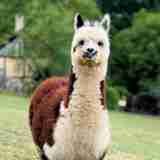 xr:d:DAGBaxFYwkE:6,j:3461440087236426892,t:24040403