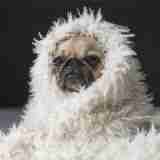 xr:d:DAGBaxFYwkE:6,j:3461440087236426892,t:24040403