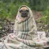 xr:d:DAGBaxFYwkE:6,j:3461440087236426892,t:24040403