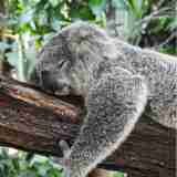 xr:d:DAGBaxFYwkE:6,j:3461440087236426892,t:24040403